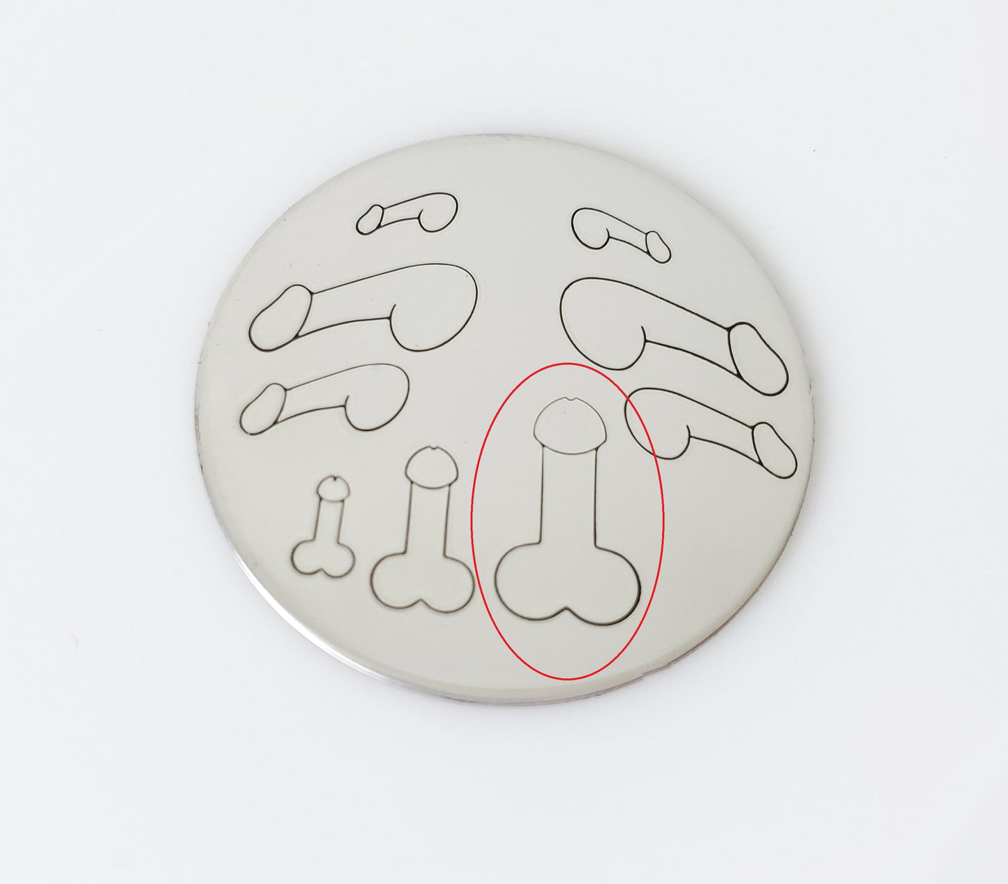 Penis