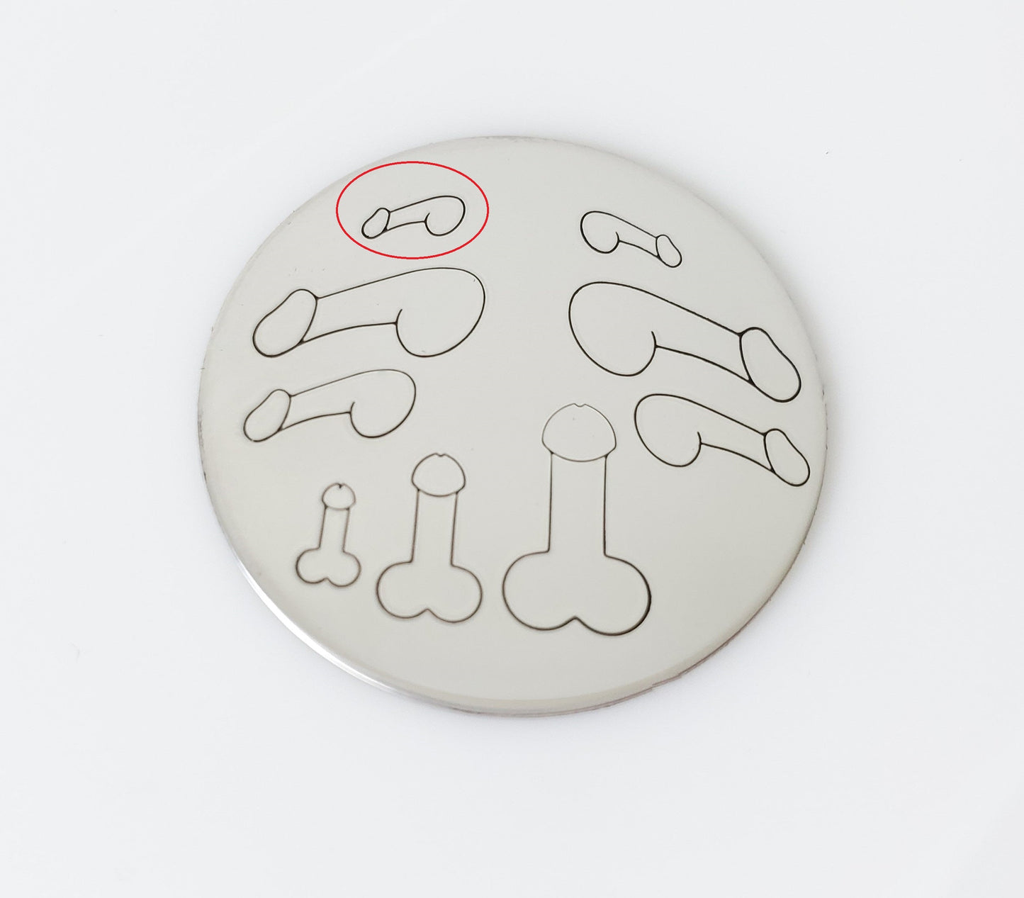 Penis