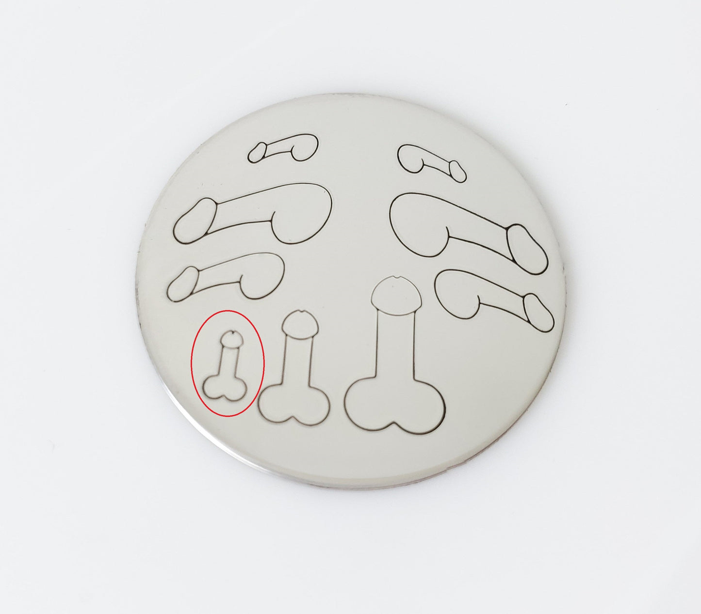 Penis