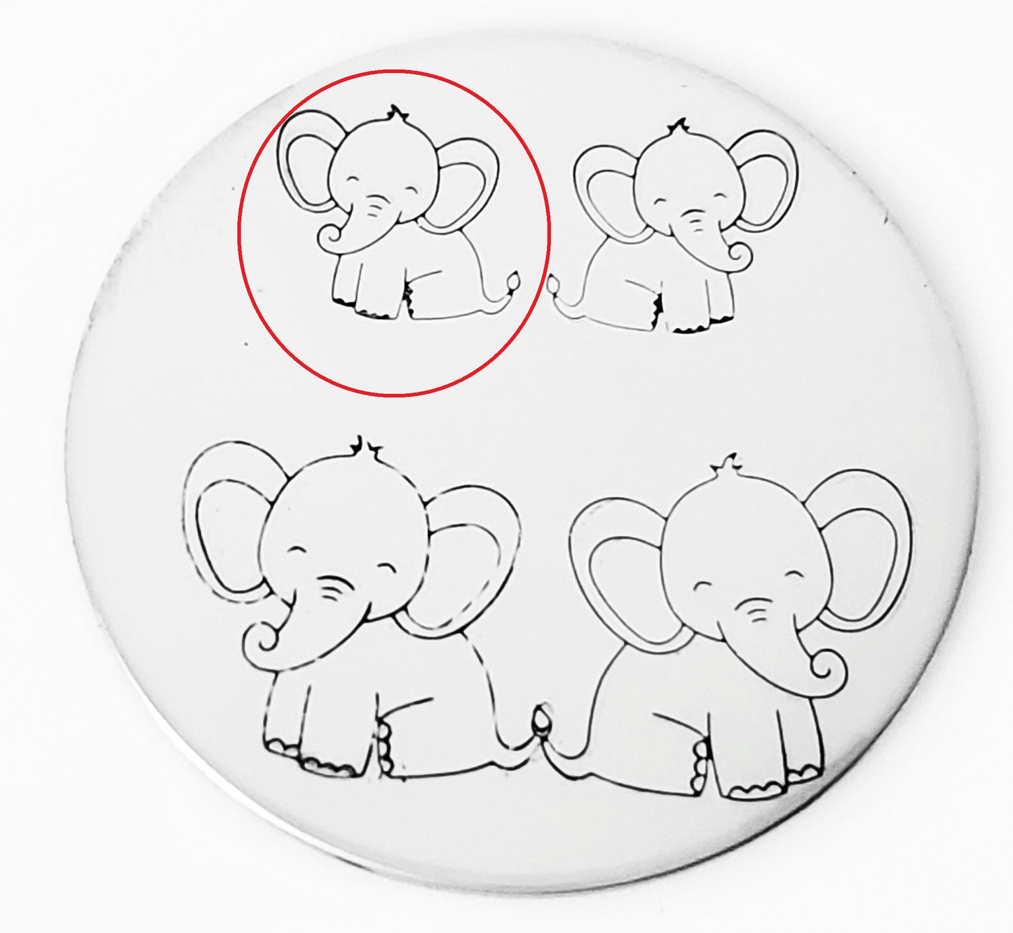 Baby Elephant