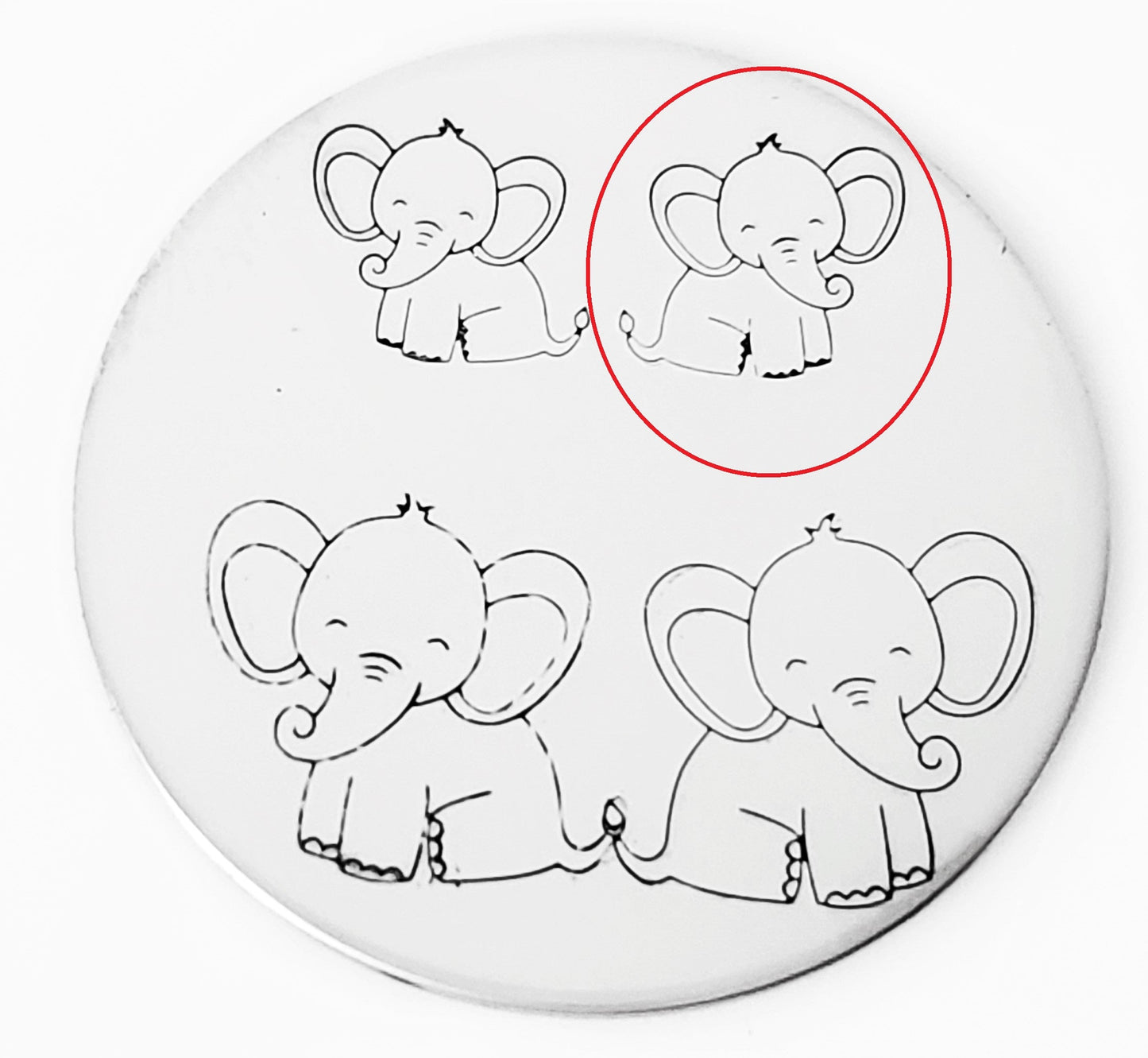 Baby Elephant
