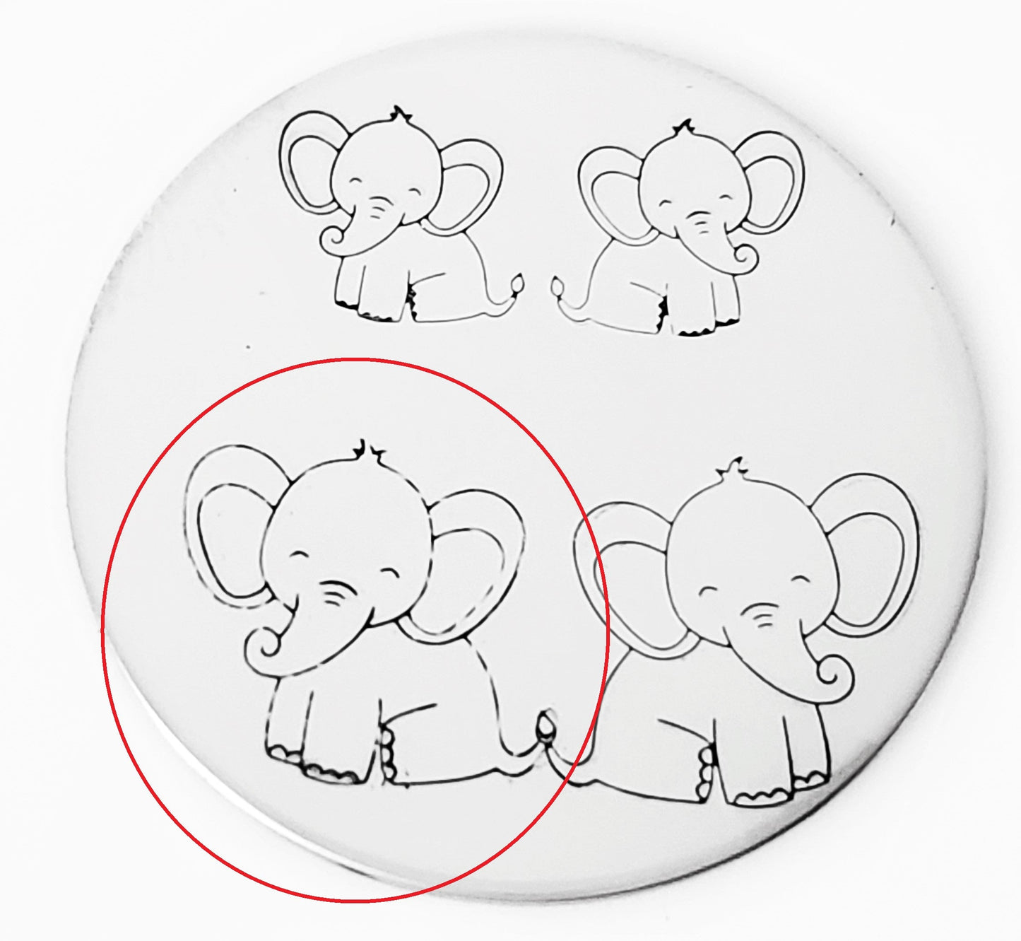 Baby Elephant