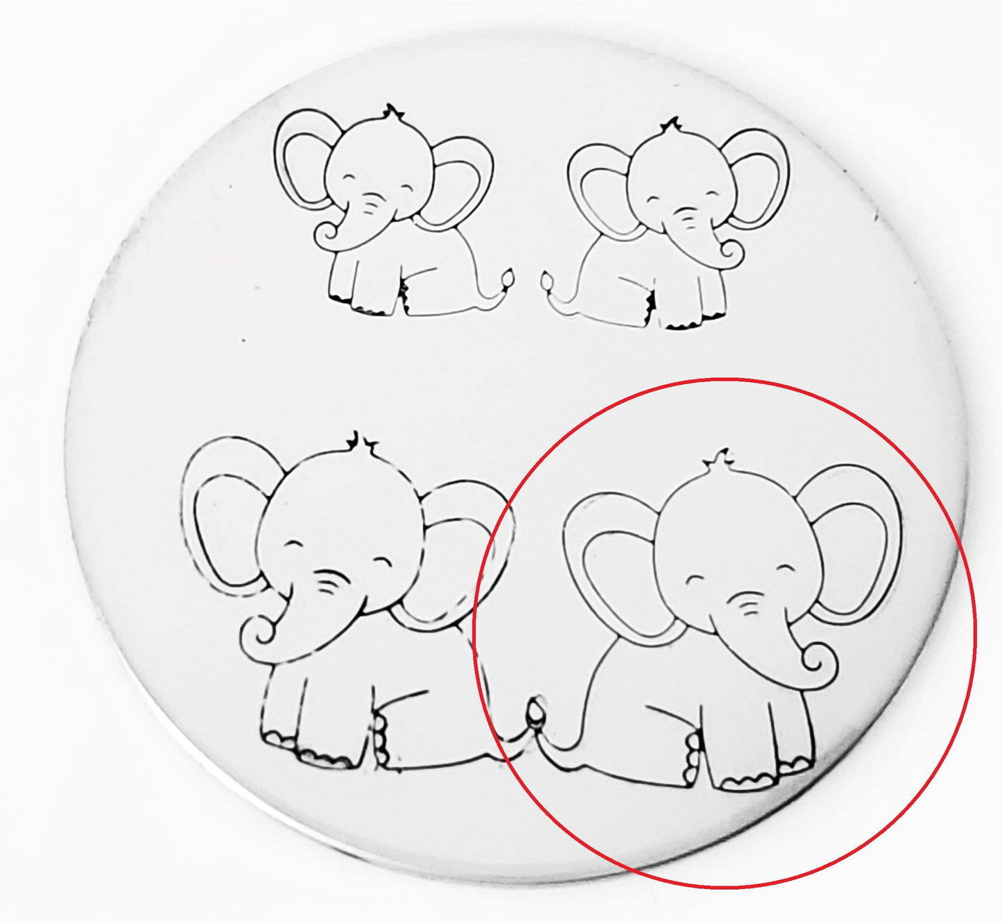 Baby Elephant