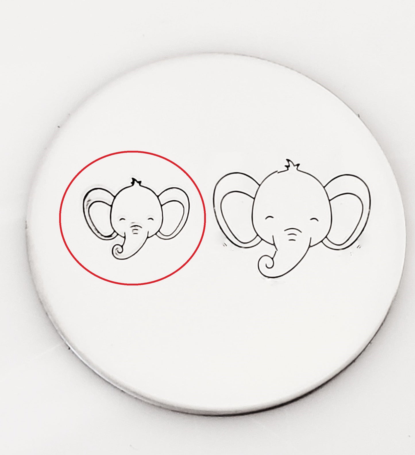 Baby Elephant Face