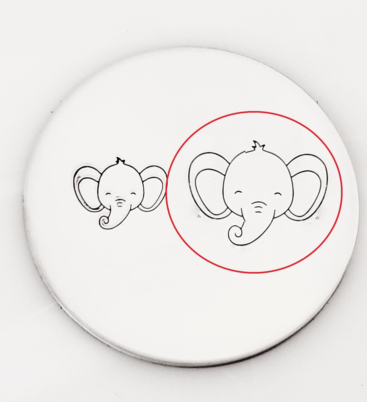 Baby Elephant Face