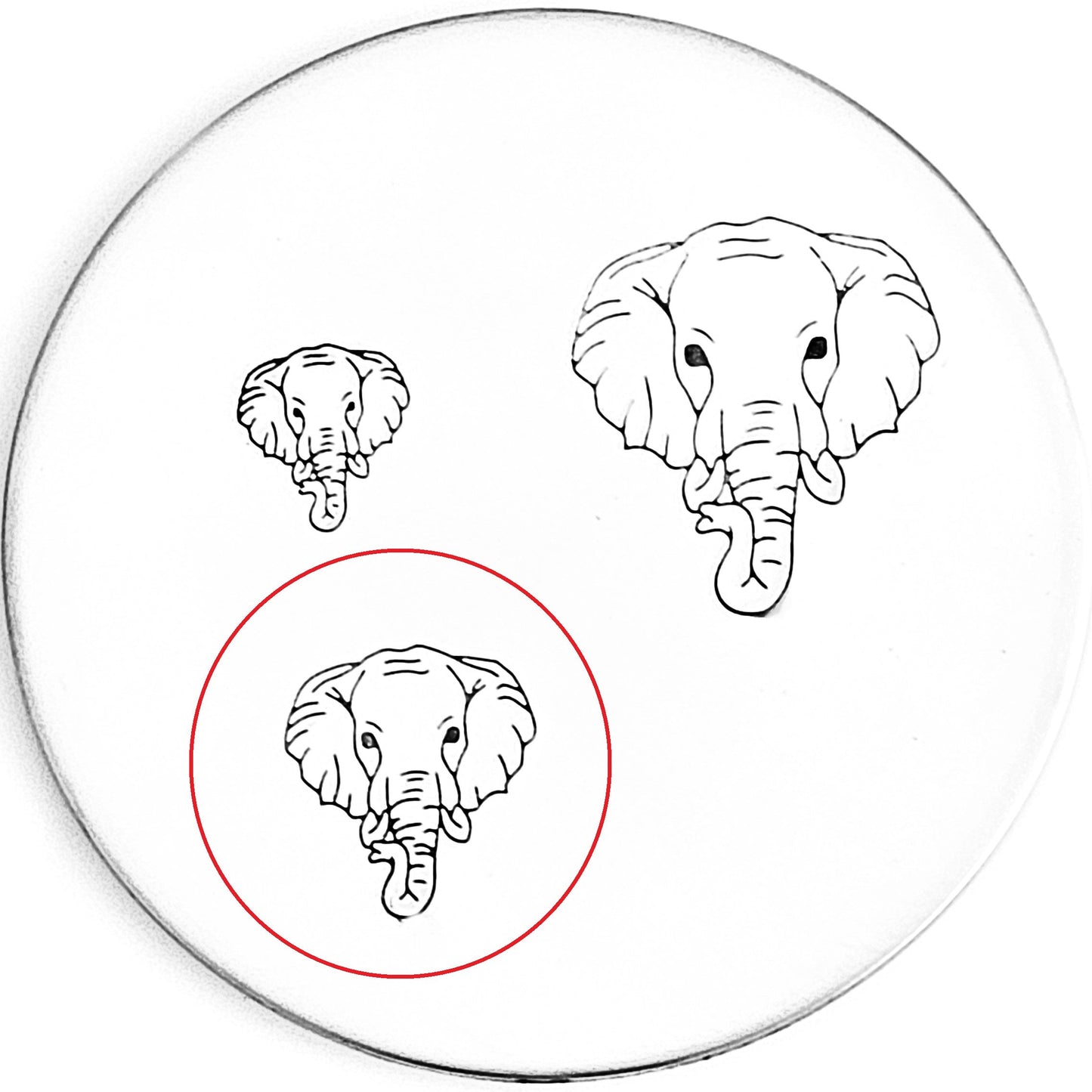 Elephant Head