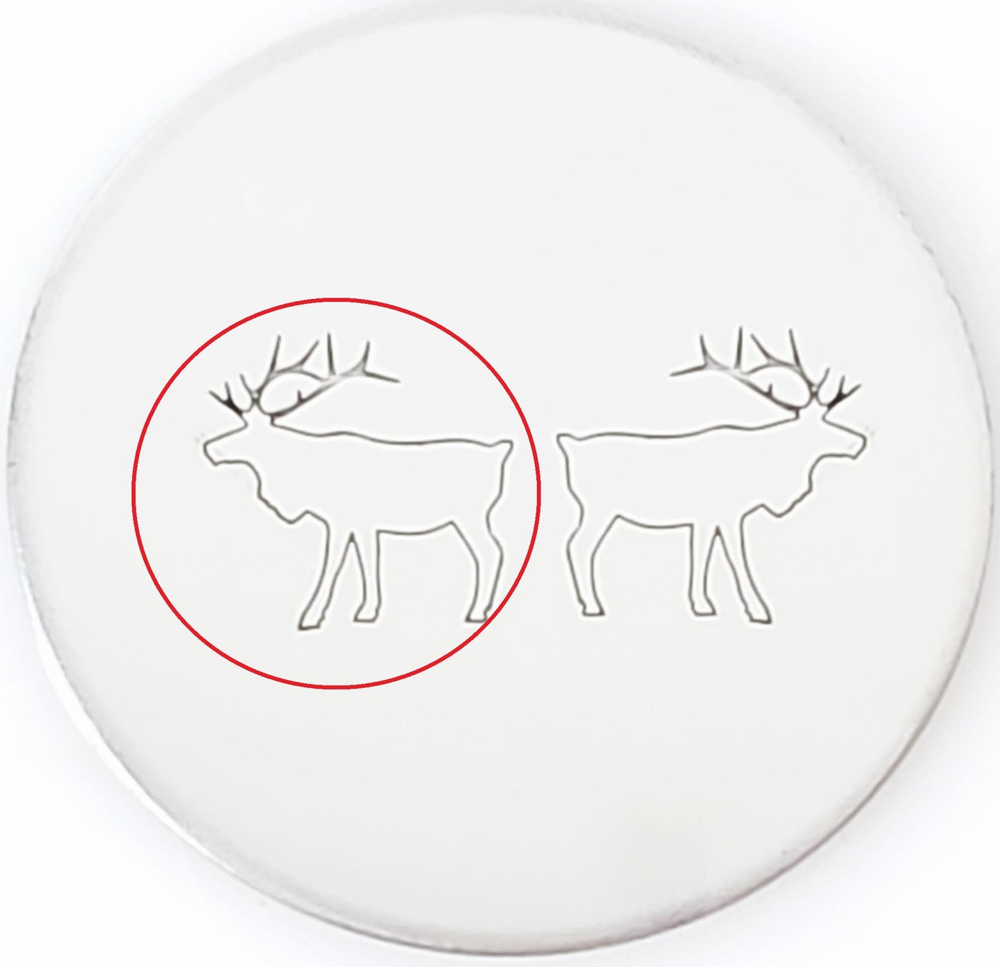 Elk