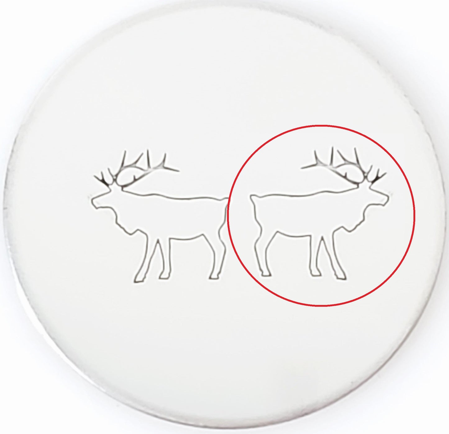 Elk