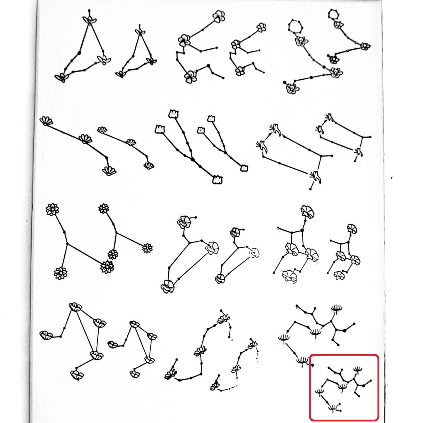 Flower Constellations - Overstock