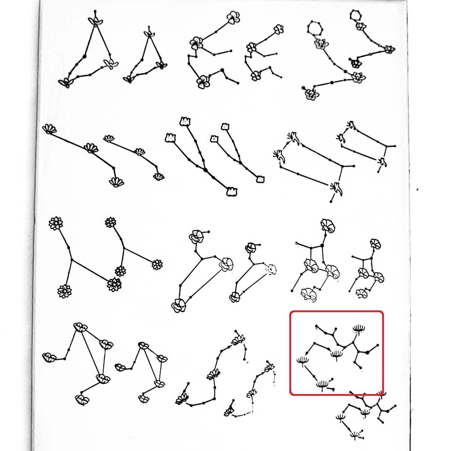 Flower Constellations - Overstock