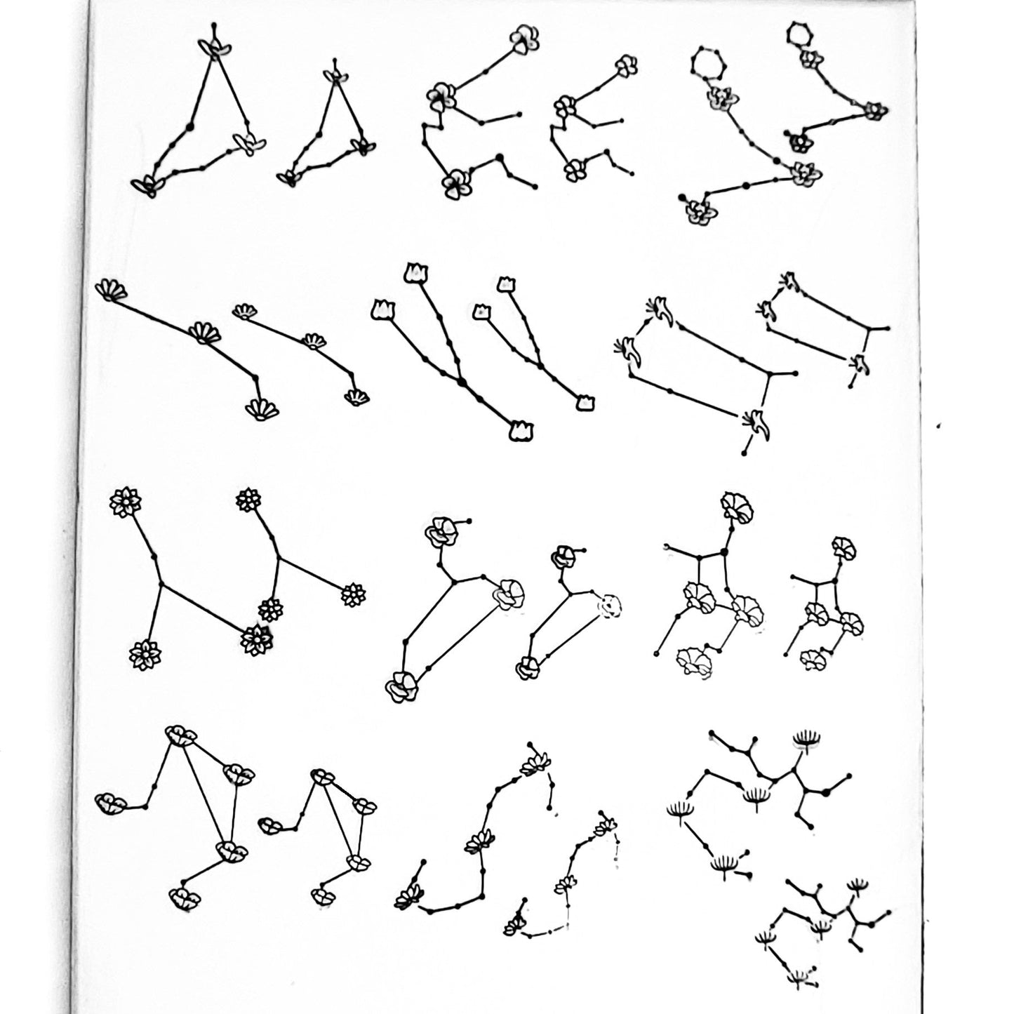 Flower Constellations - Overstock