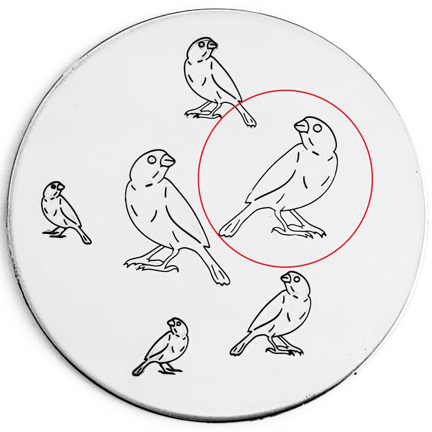 Finch