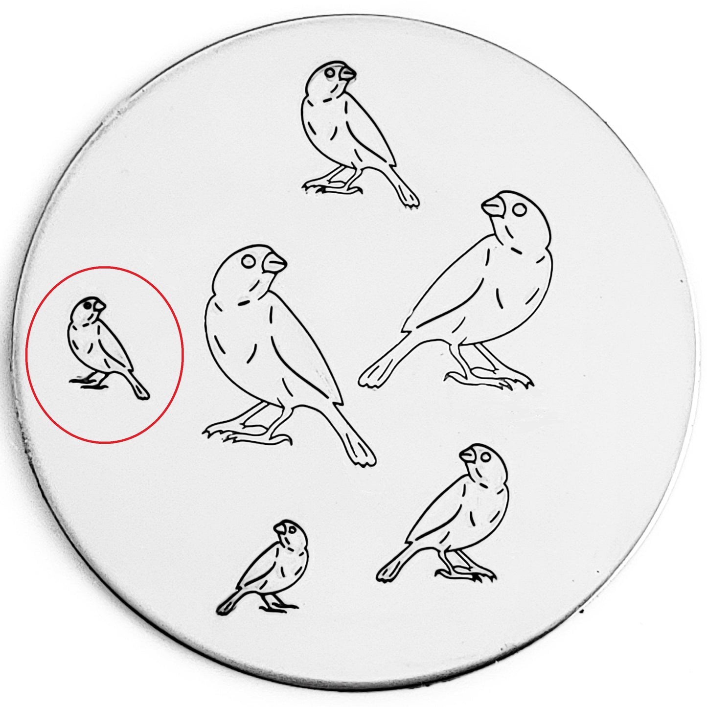 Finch