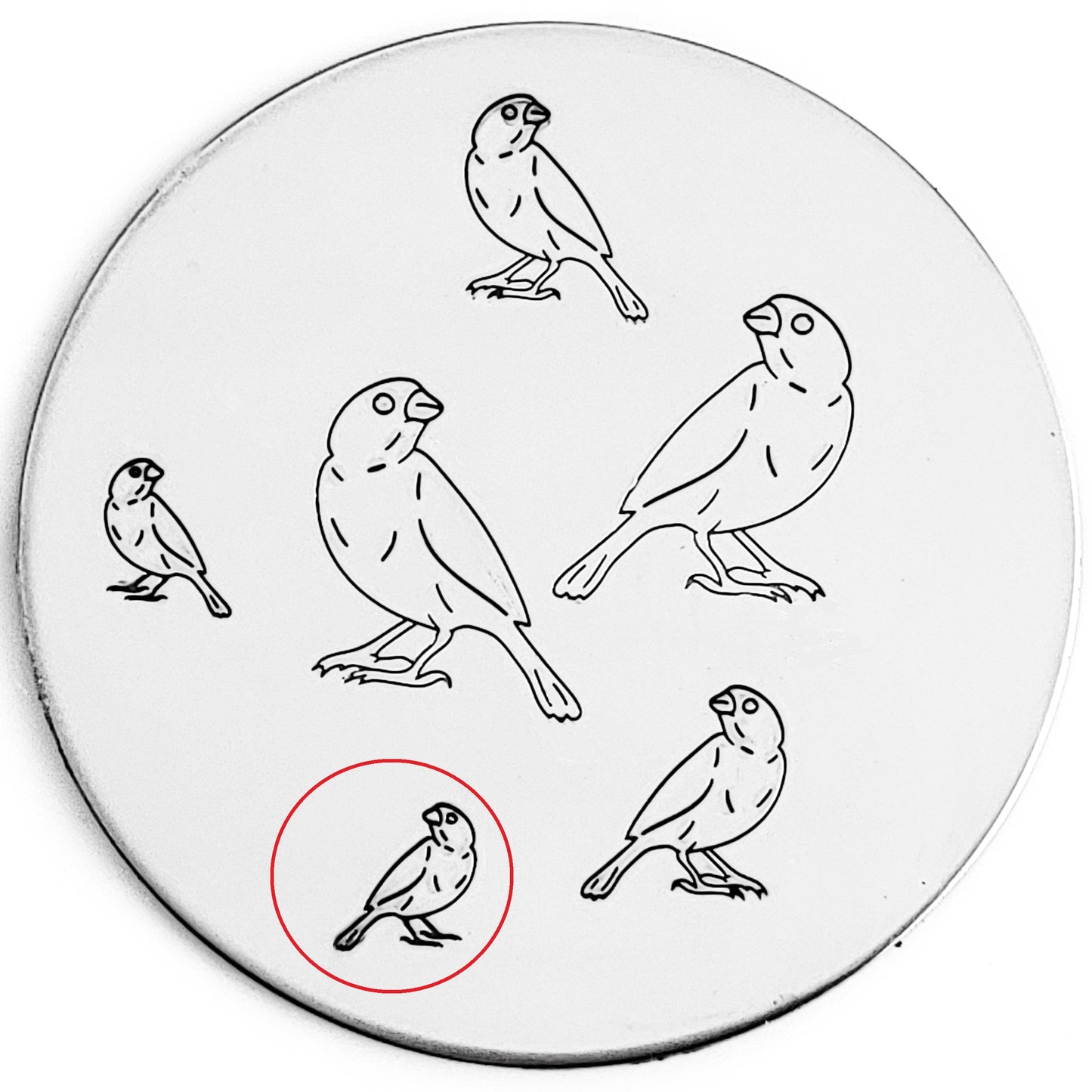 Finch