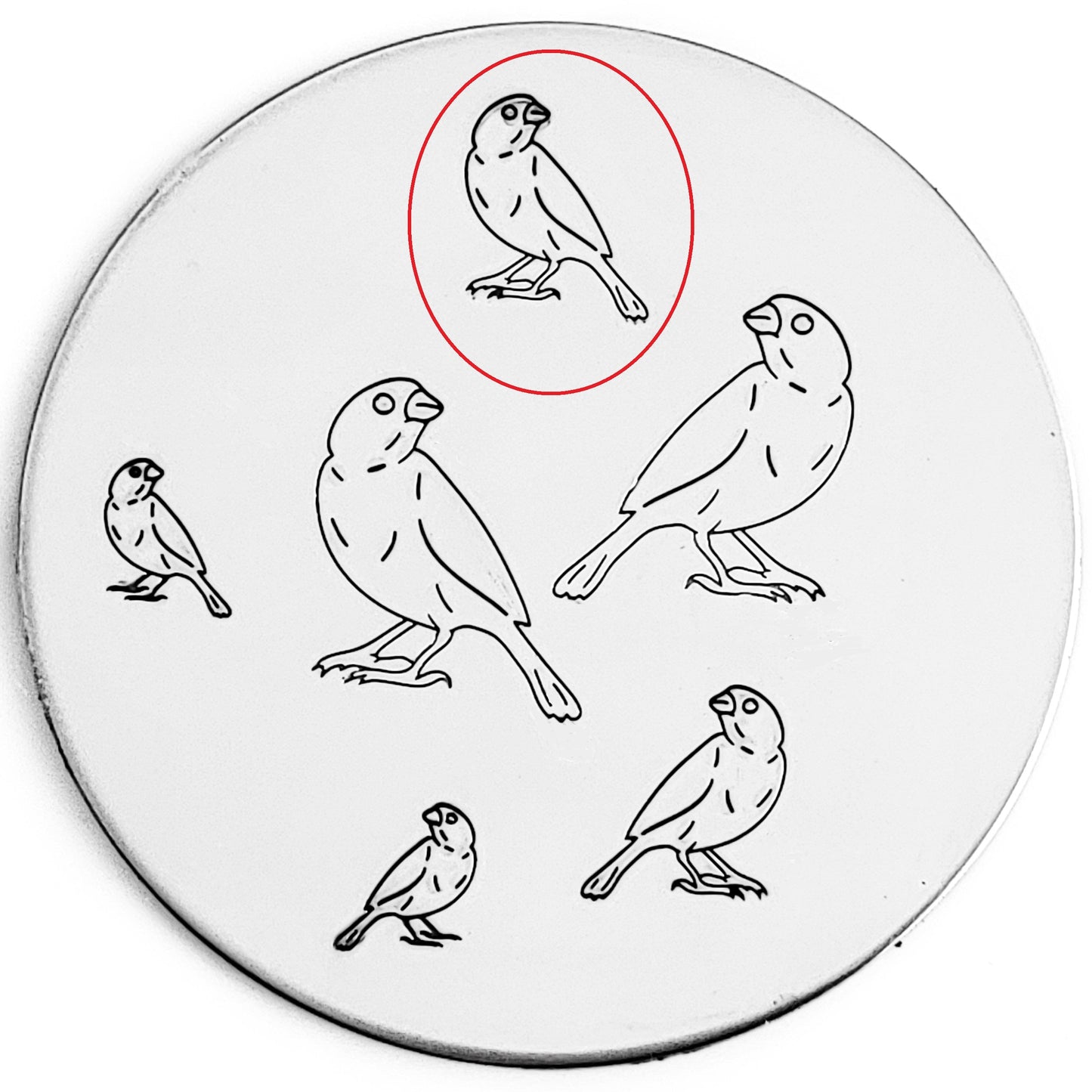 Finch