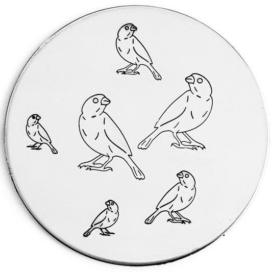 Finch