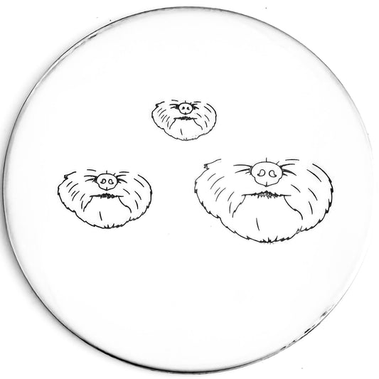 Face - Dog