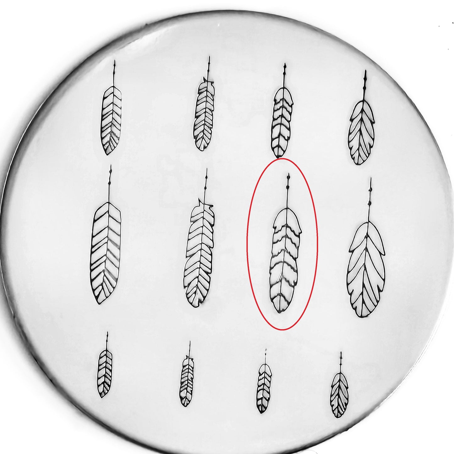 Feather #05 - OVERSTOCK