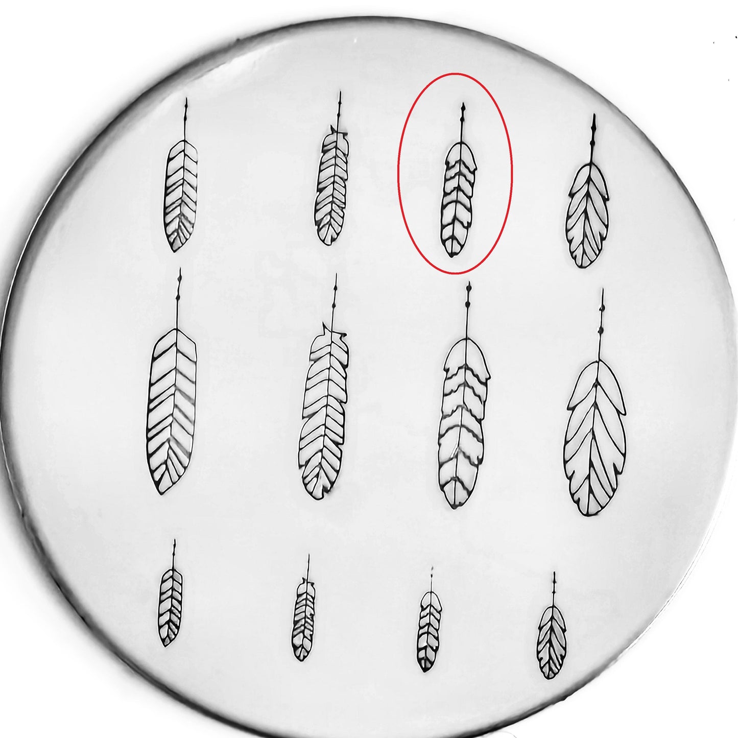 Feather #05 - OVERSTOCK