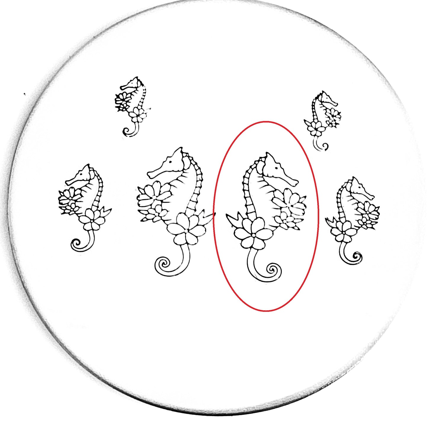 Flower Seahorse