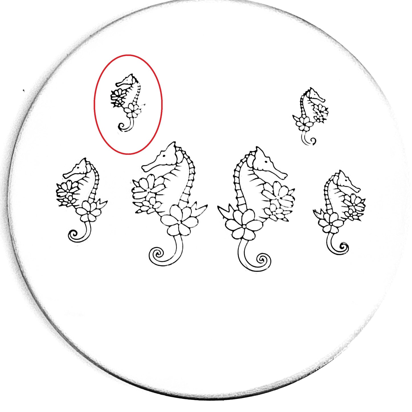 Flower Seahorse