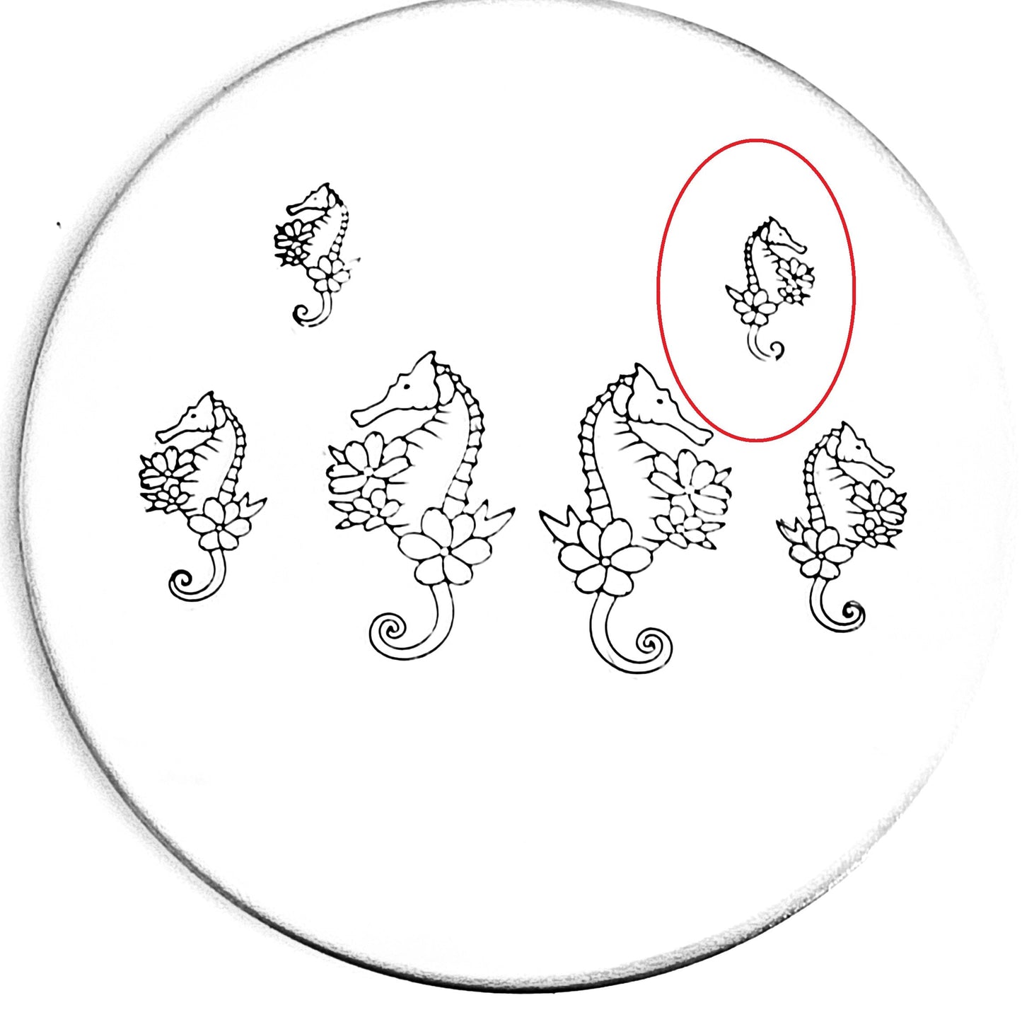 Flower Seahorse