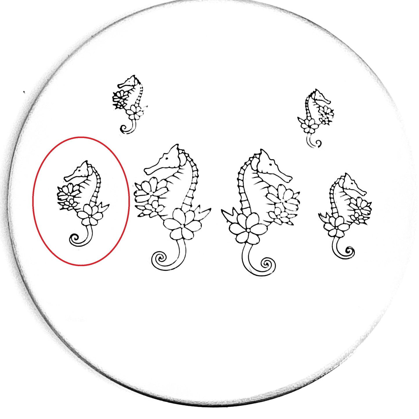 Flower Seahorse
