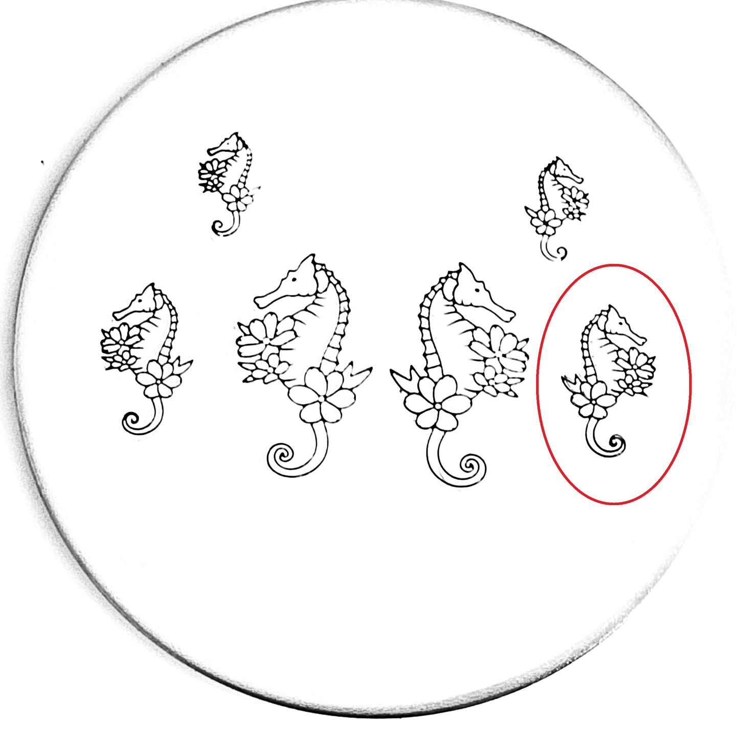 Flower Seahorse