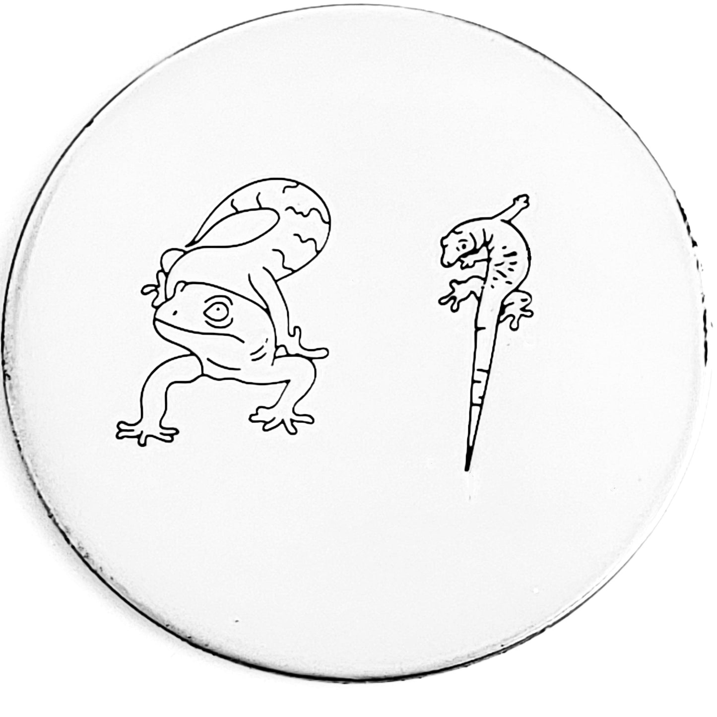 Lizard / Gecko