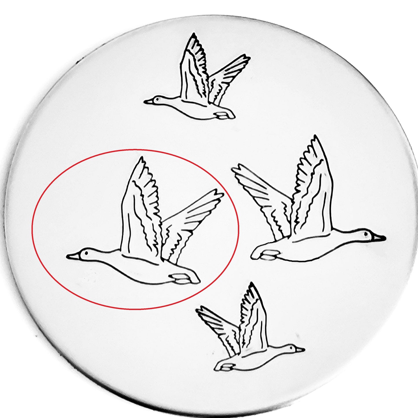 Goose #02