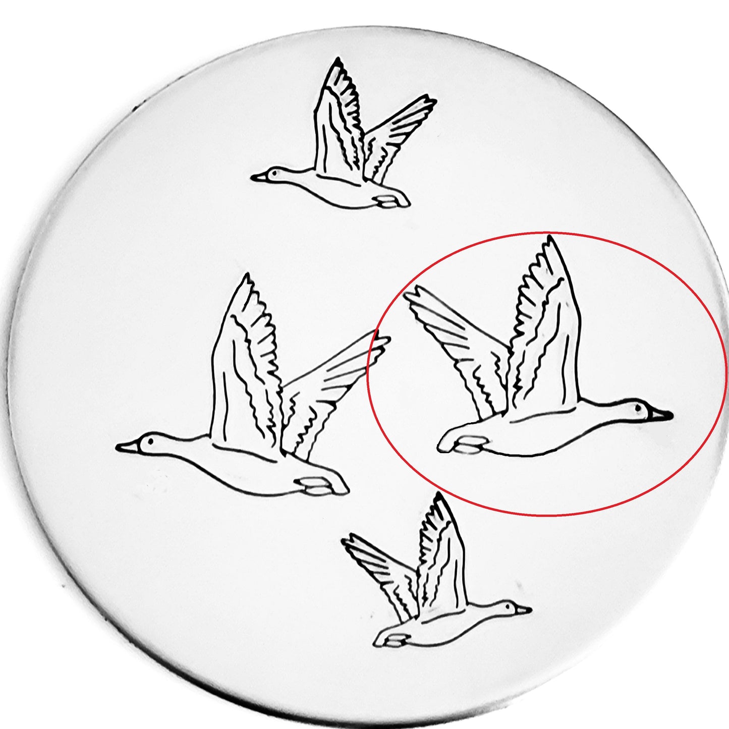 Goose #02