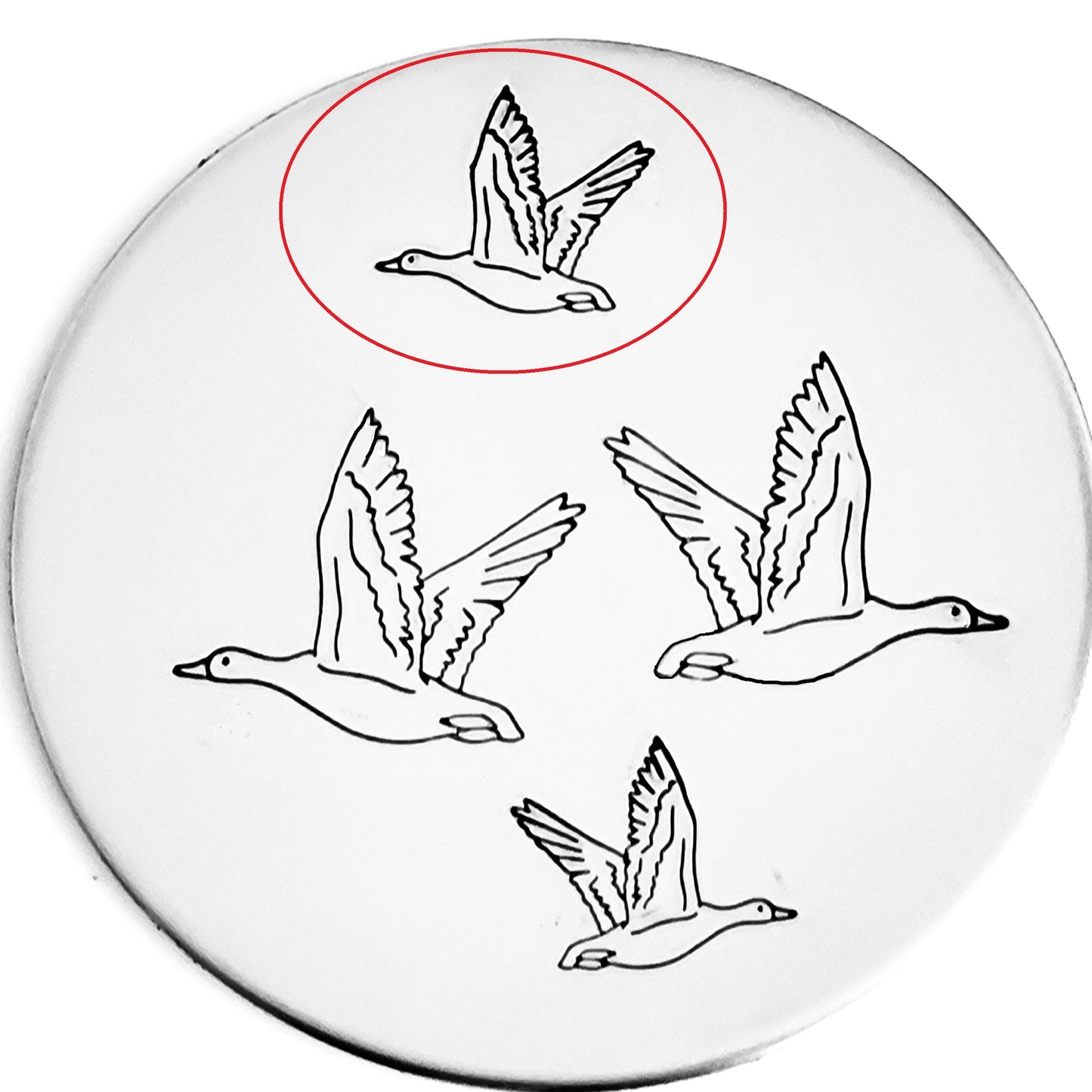 Goose #02