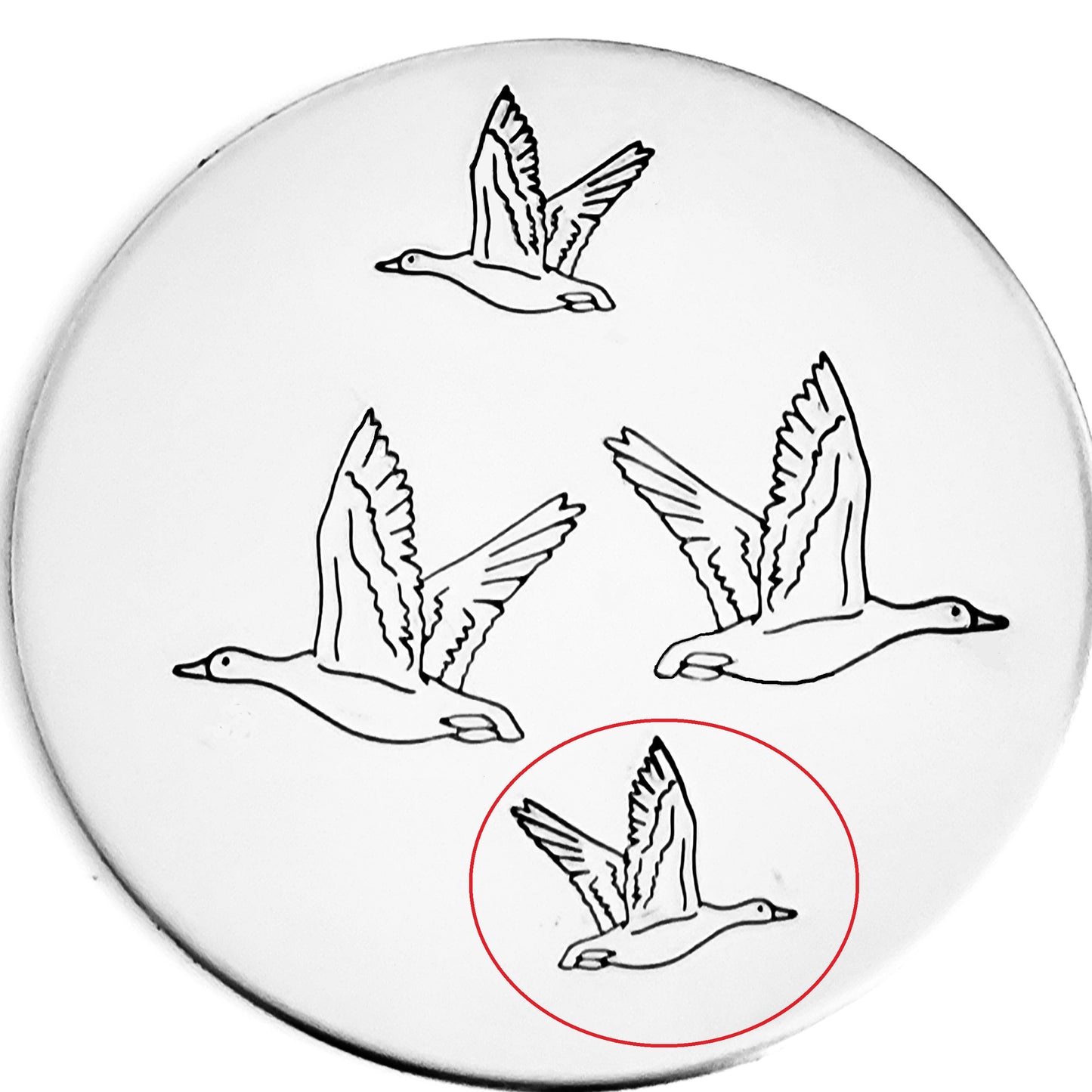 Goose #02