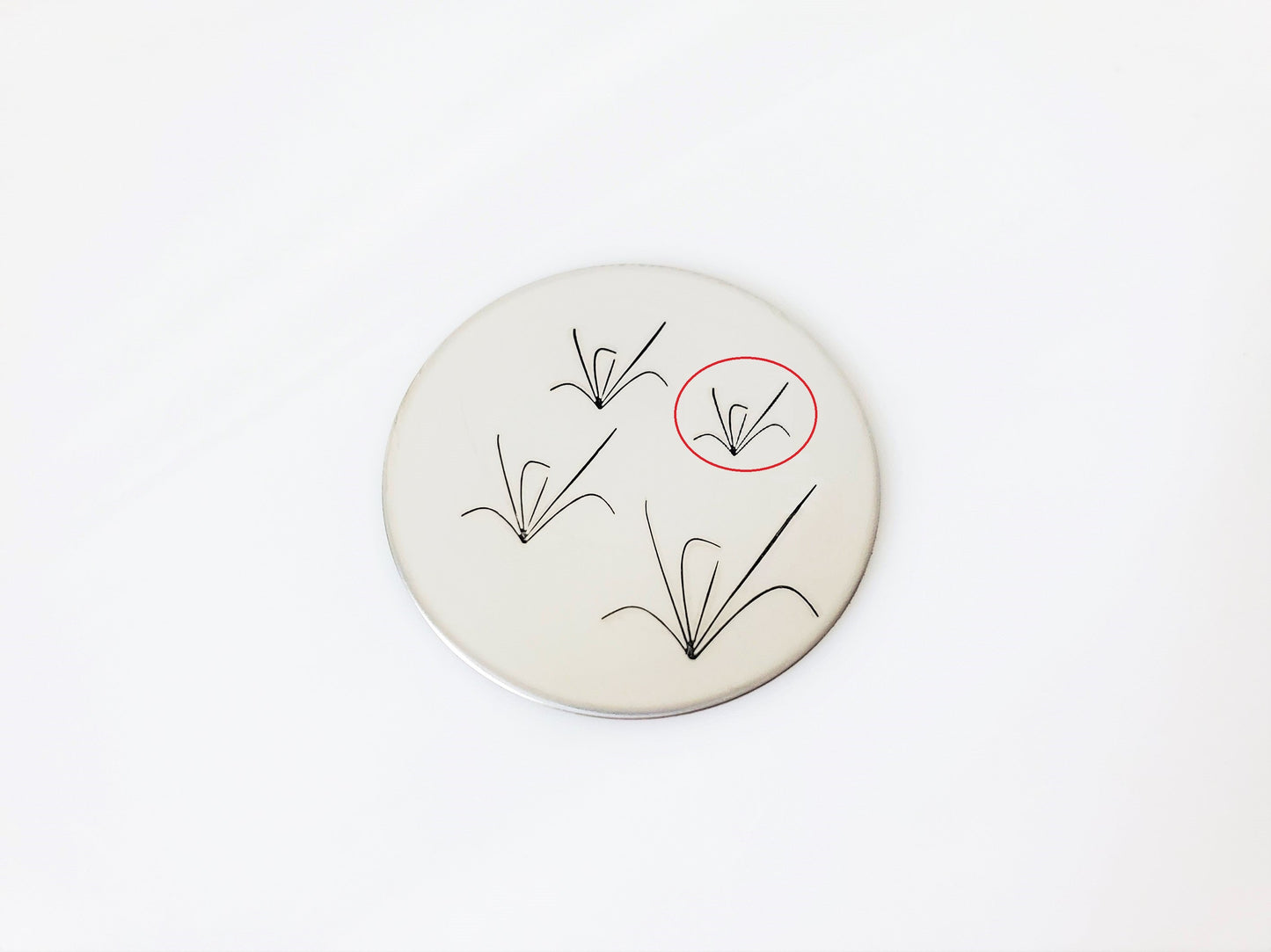 Grass