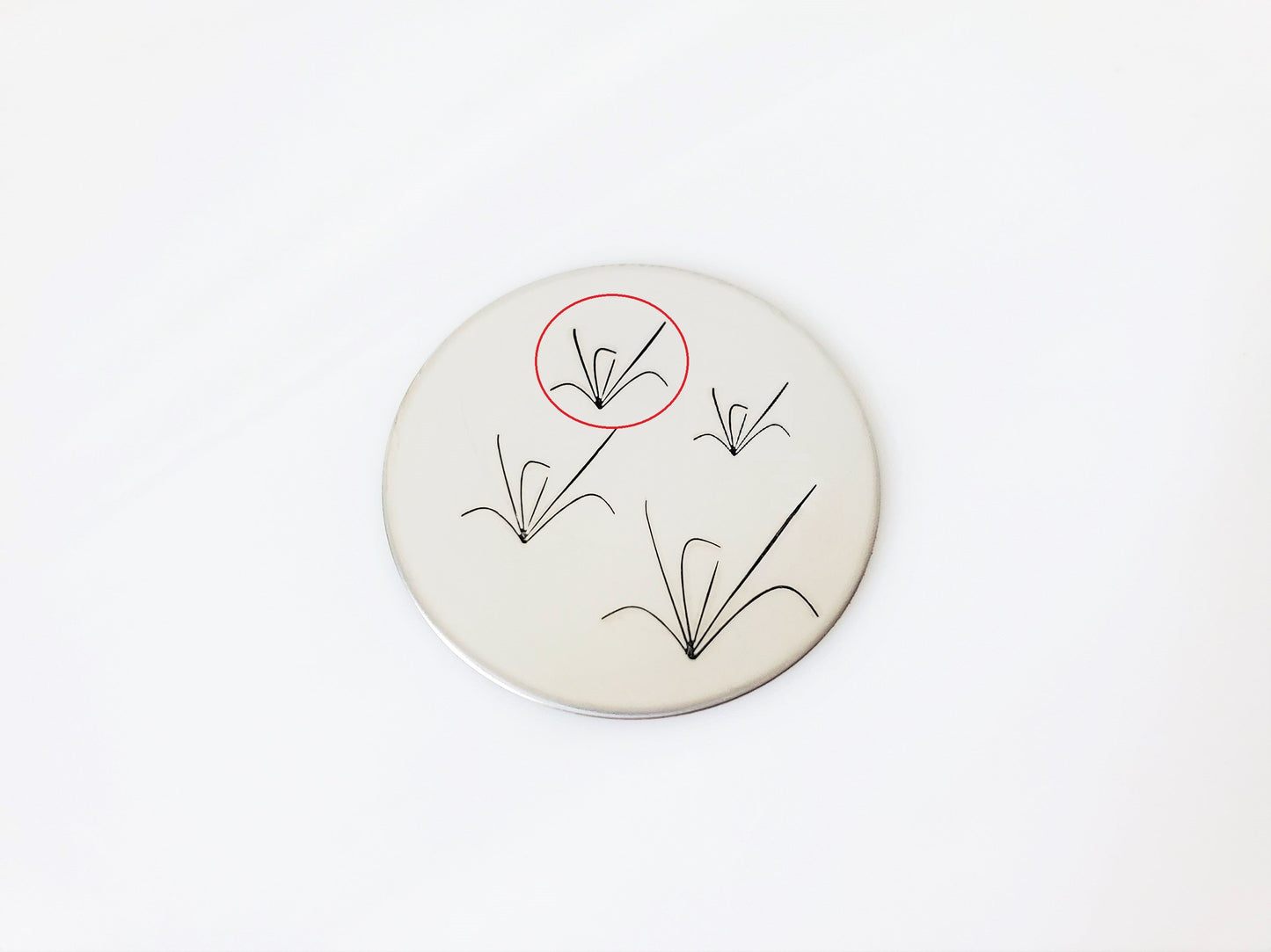 Grass