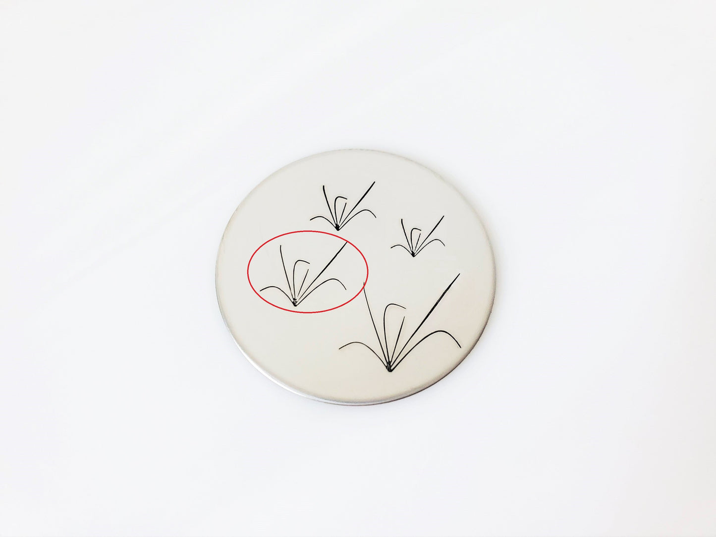 Grass