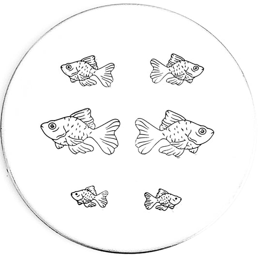 Goldfish #02