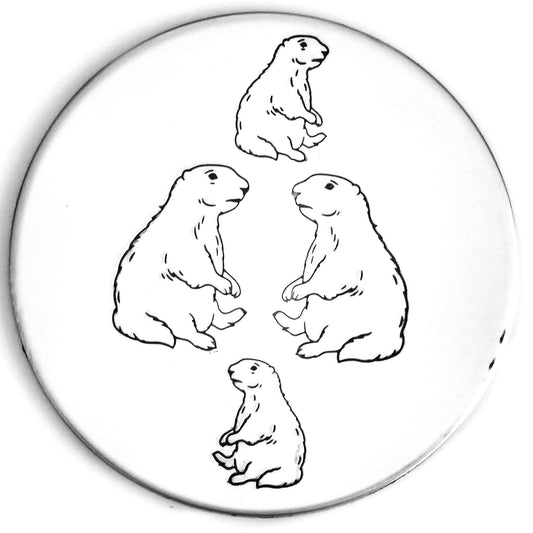 Groundhog #01