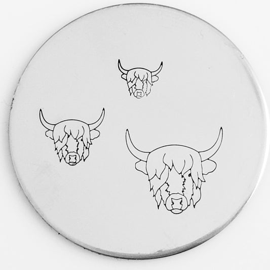 Highland Cow