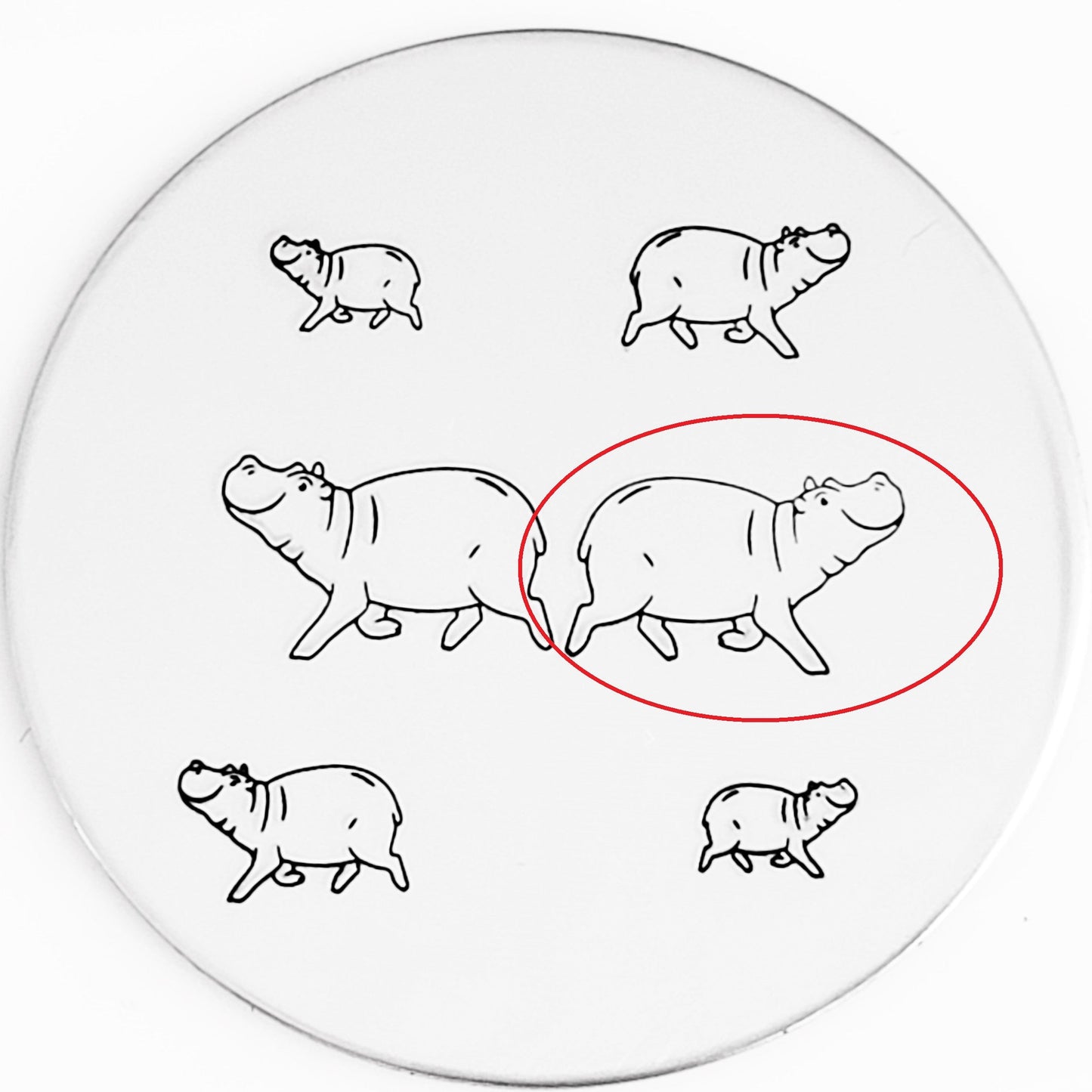Hippo