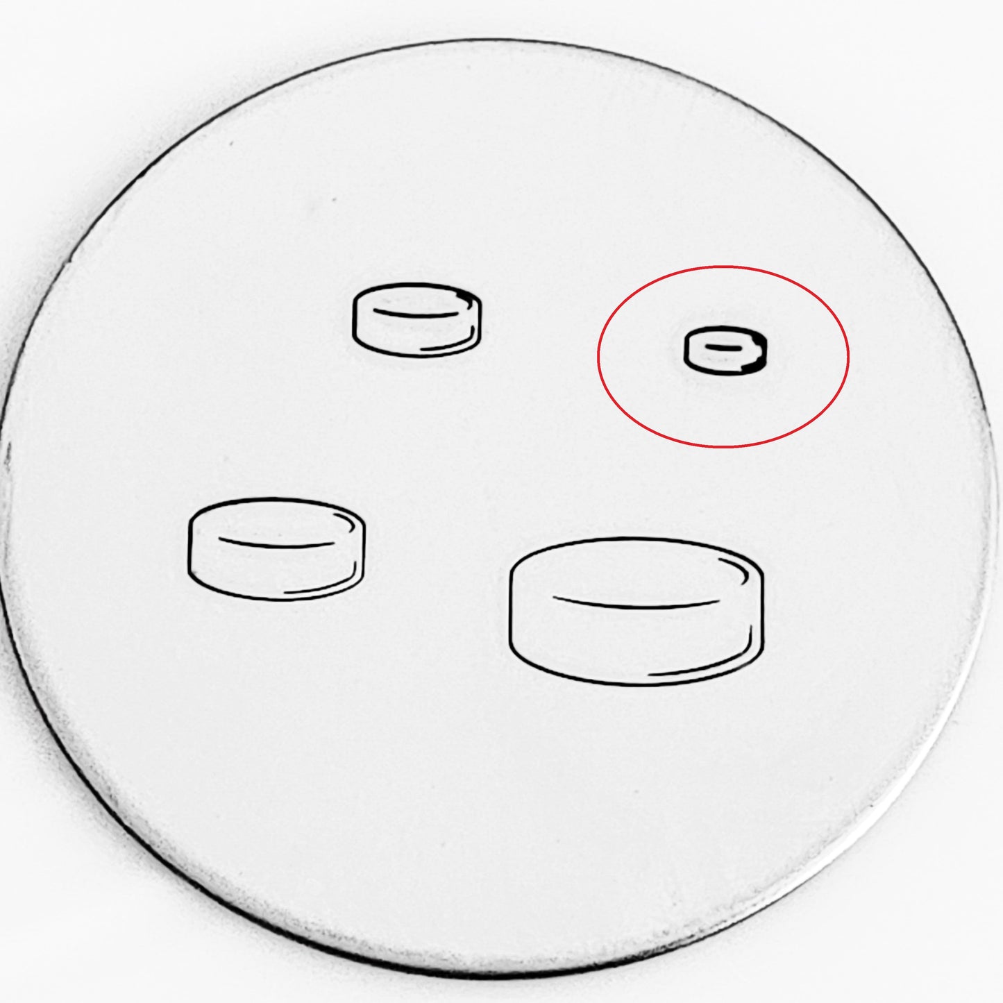 Hockey Puck