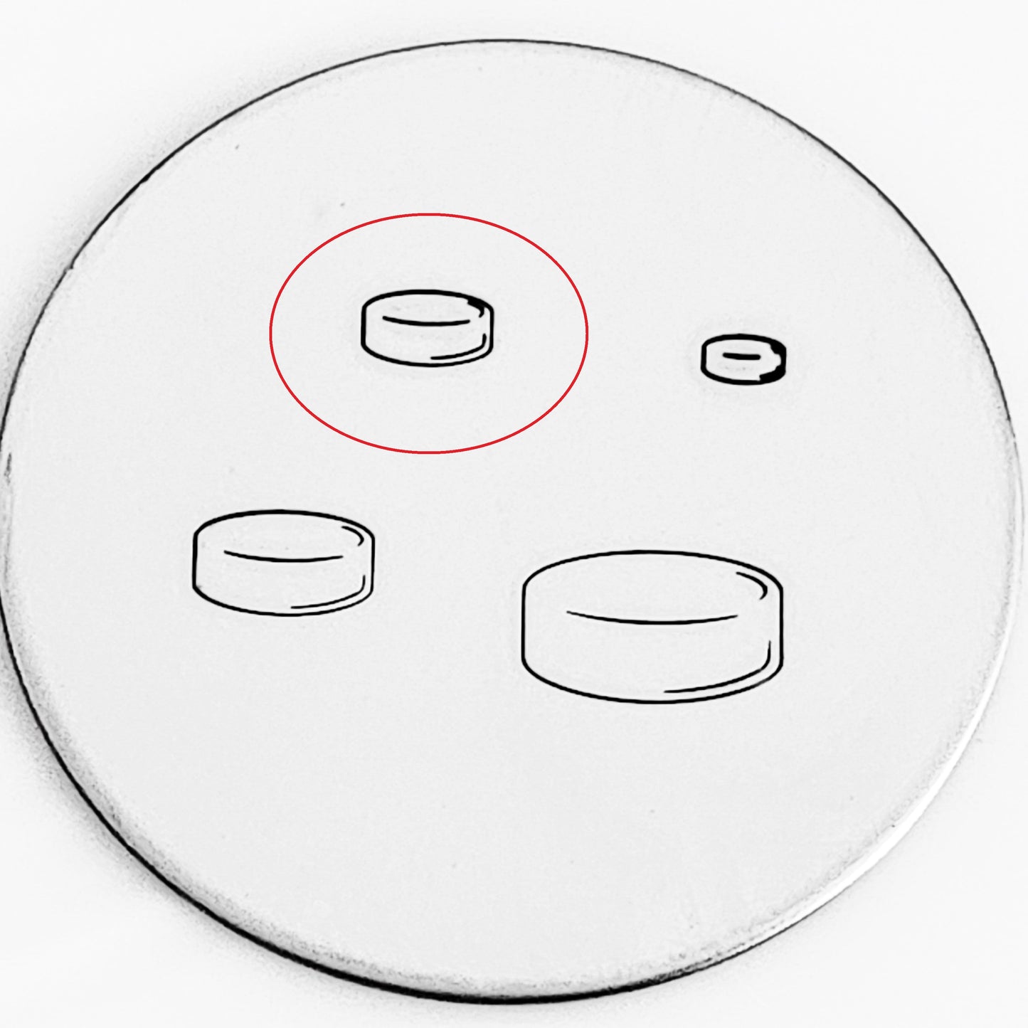 Hockey Puck