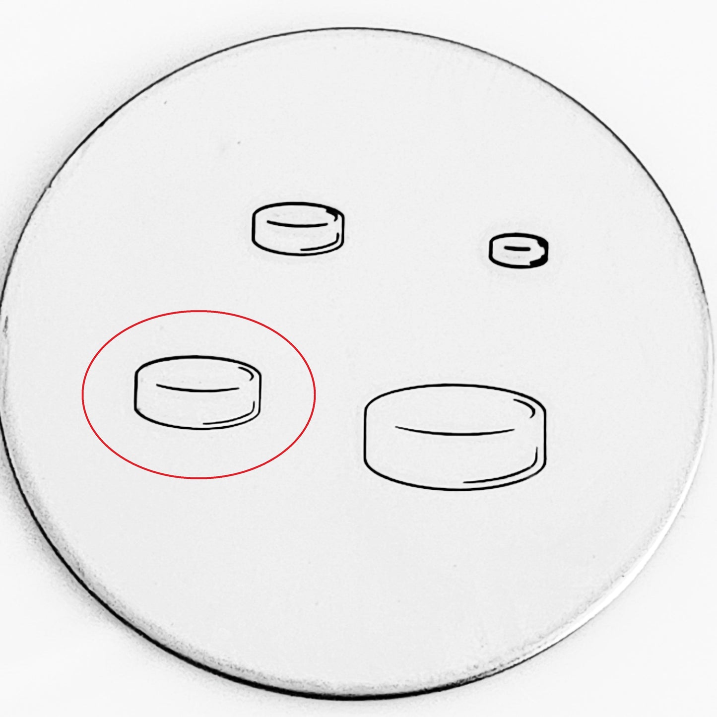 Hockey Puck