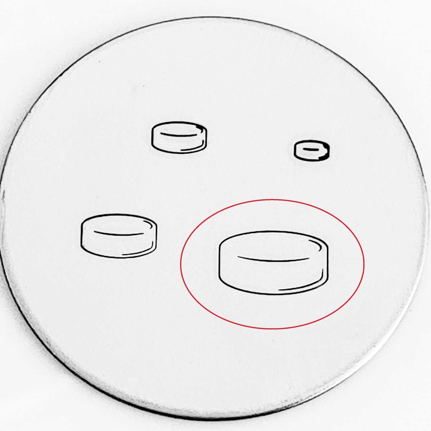 Hockey Puck