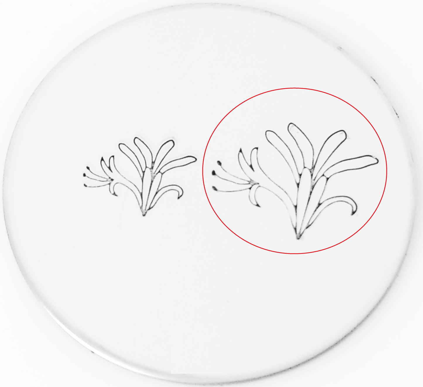 Honeysuckle