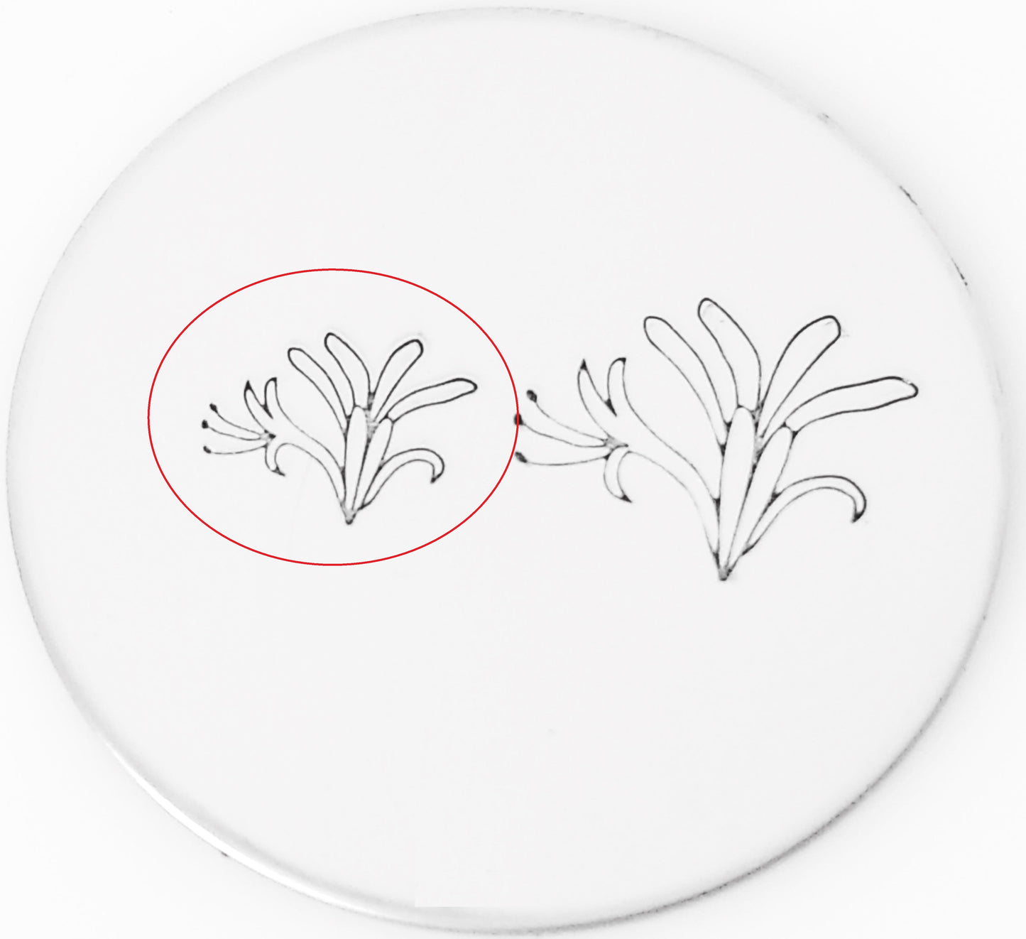 Honeysuckle
