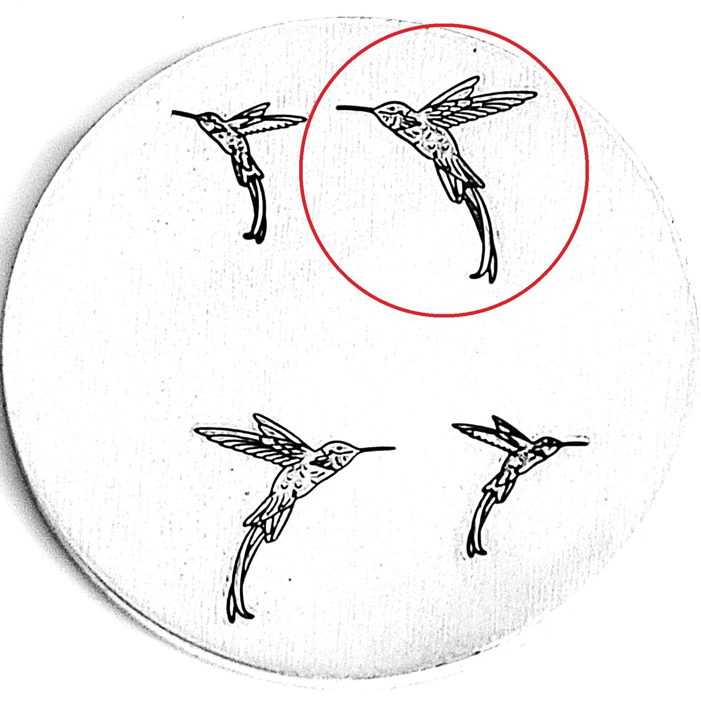 Hummingbirds