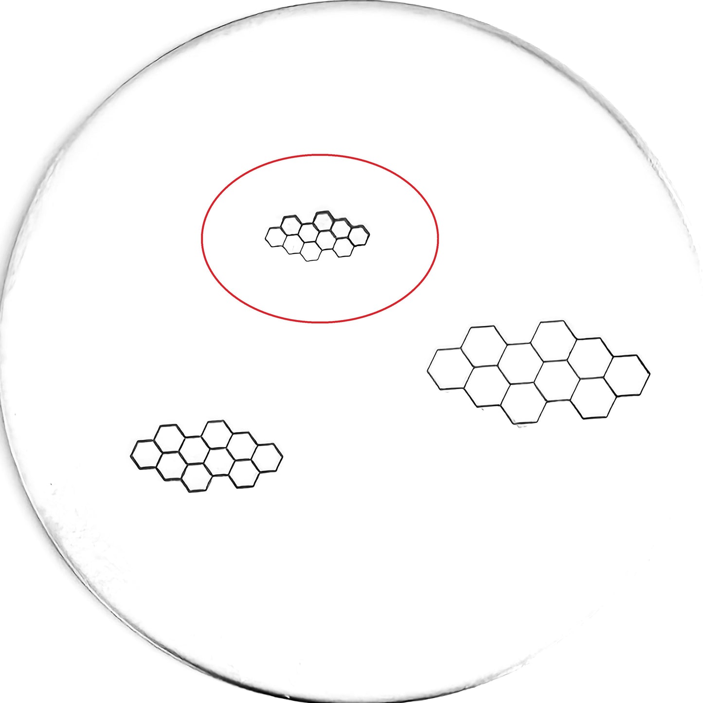 Honeycomb