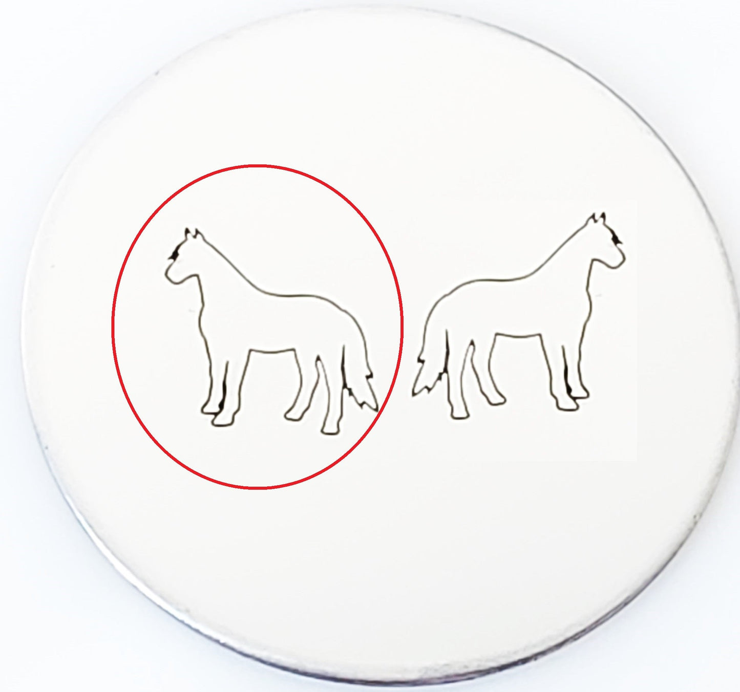 Horse #03