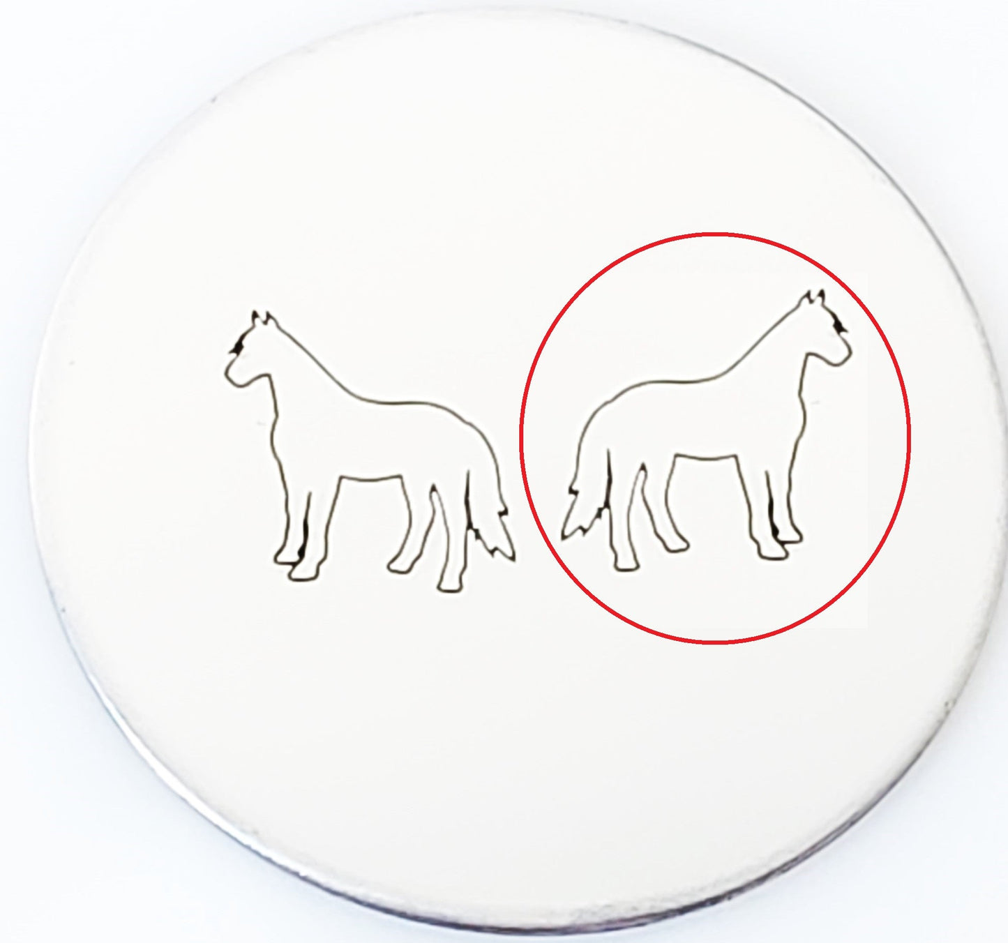 Horse #03